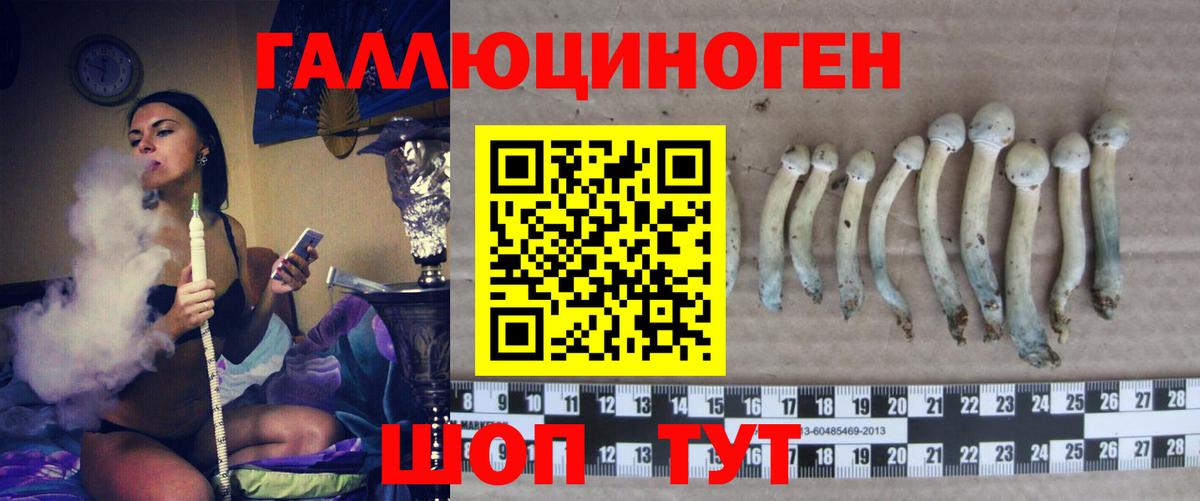 Конопля  Гашиш  Мефедрон   Кокаин  АМФЕТАМИН кристаллы  Чехов  Вход с VPN  Гашиш  Меф 